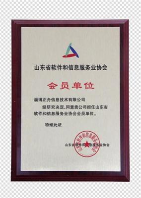 手机端网站制作与网络技术咨询 山东正舟的专业实践