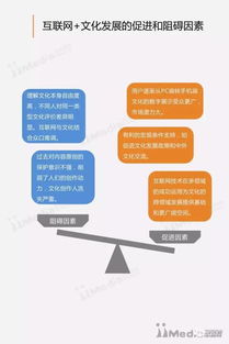 《连接与赋能 2017年中国互联网文化专题研究下的网络技术咨询服务嬗变》